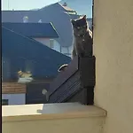 локация! * Банско